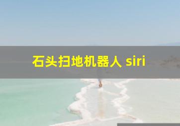 石头扫地机器人 siri